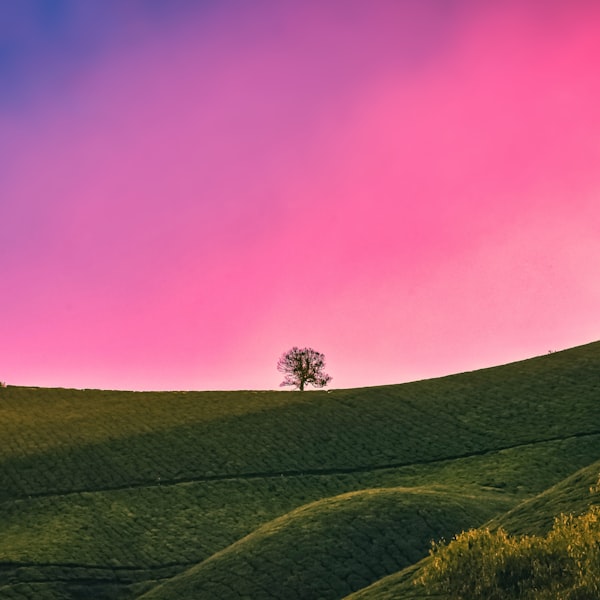 Thẻ Nhớ Micro SD 64GB